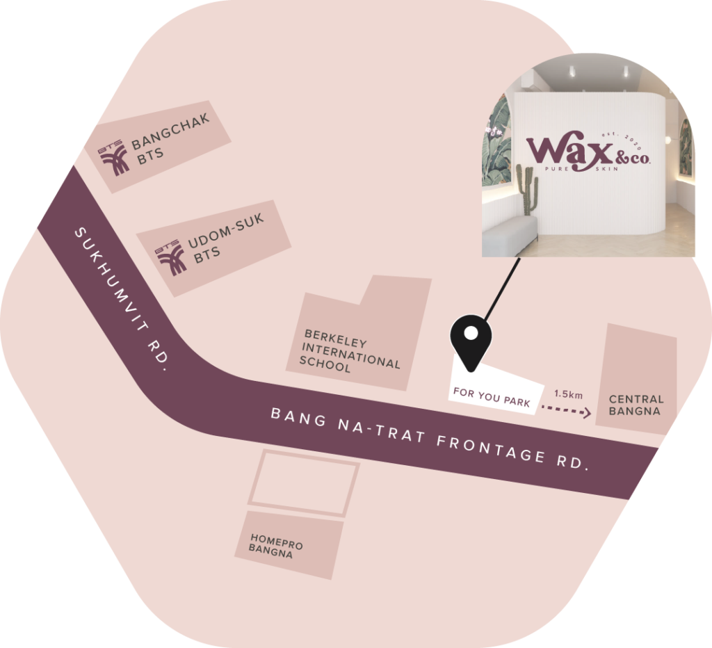 Wax & Co Pure Skin - Bikini Wax บราซิลเลี่ยนแว็กซ์ ฮอลลีวูดแว็กซ์