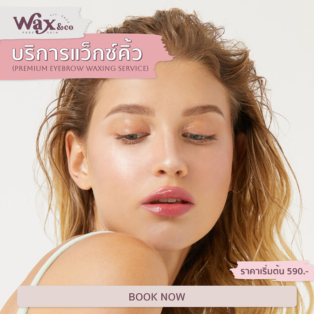 Wax & Co Pure Skin - Bikini Wax บราซิลเลี่ยนแว็กซ์ ฮอลลีวูดแว็กซ์ ร้านแว็กซ์สไตล์สปา